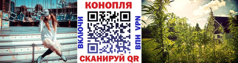 Шишки марихуана план  даркнет сайт  Андреаполь 